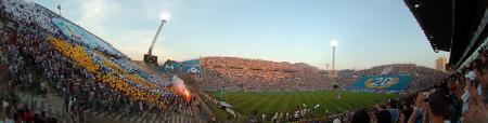 THE STADE